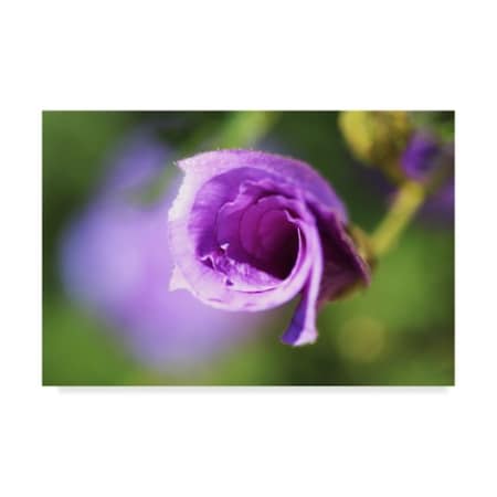 Incredi 'Purple Flower Blurred' Canvas Art,12x19